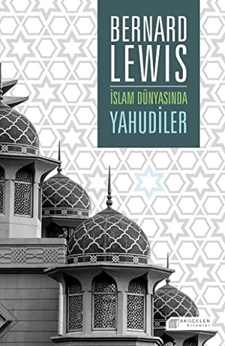 İslam Dünyasında Yahudiler kitap kapağı