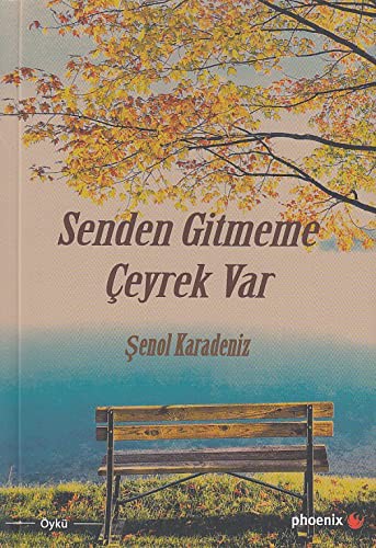Senden Gitmeme Çeyrek Var kitap kapağı