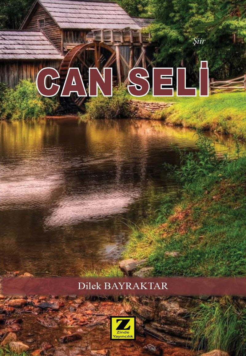 Can Seli kitap kapağı