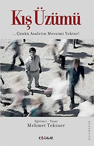 Kış Üzümü kitap kapağı