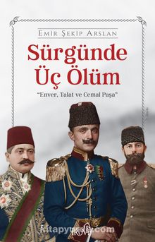 Sürgünde Üç Ölüm kitap kapağı