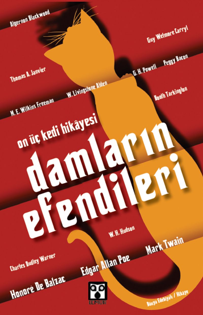 Damların Efendileri On Üç Kedi Hikayesi kitap kapağı
