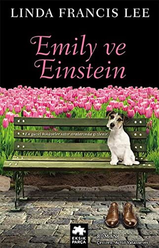 Emily ve Einstein kitap kapağı