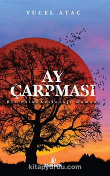 Ay Çarpması kitap kapağı