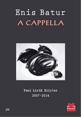 A Cappella kitap kapağı