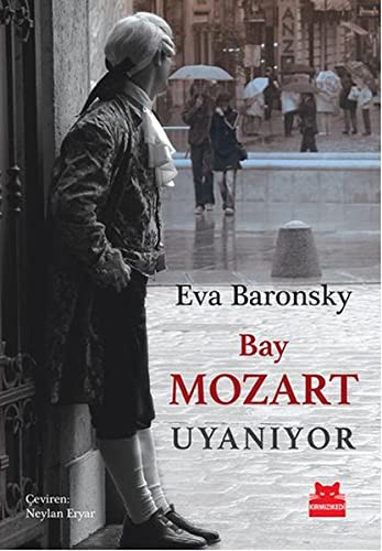 Bay Mozart Uyanıyor kitap kapağı