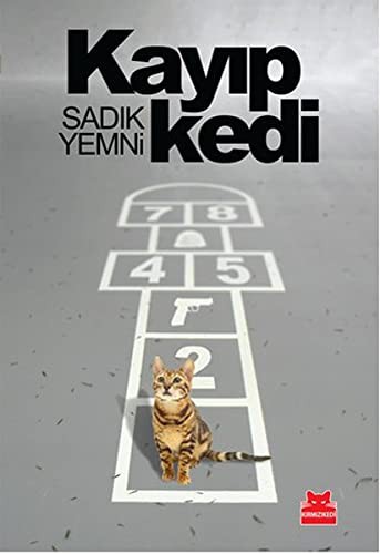 Kayıp Kedi kitap kapağı