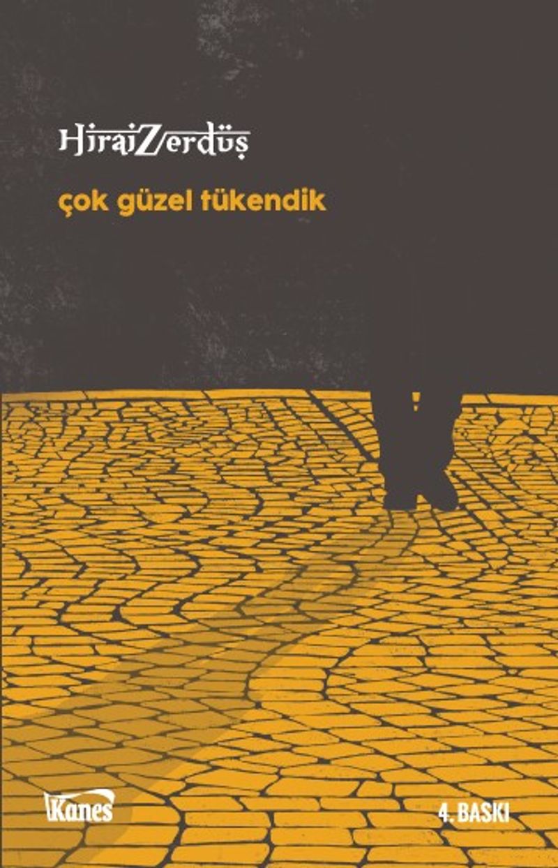 Çok Güzel Tükendik kitap kapağı