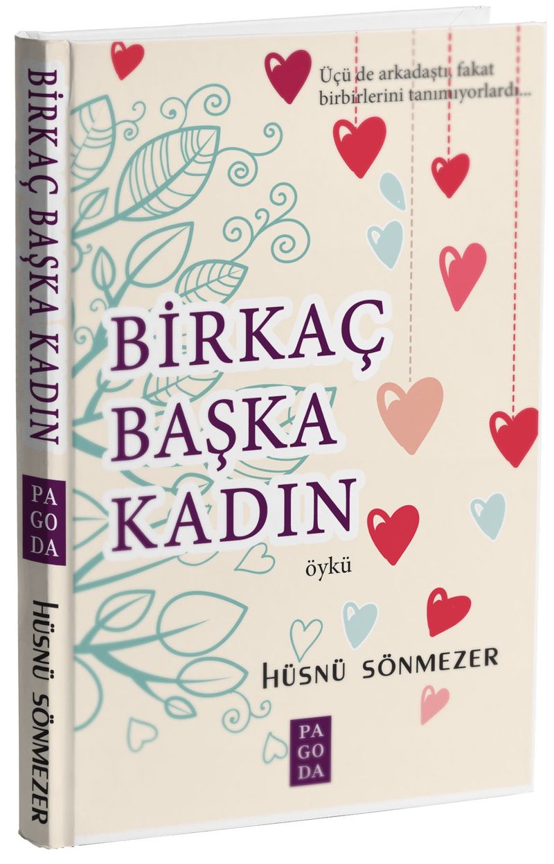 Bir Kaç Başka Kadın kitap kapağı