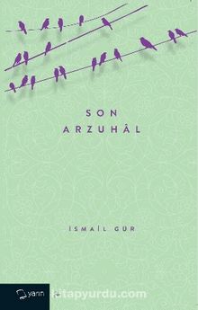 Son Arzuhal kitap kapağı