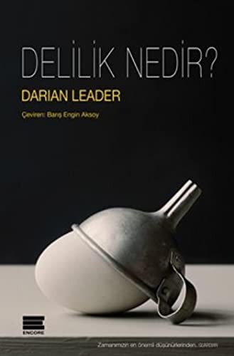 Delilik Nedir? kitap kapağı
