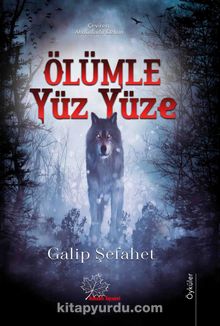 Ölümle Yüz Yüze kitap kapağı