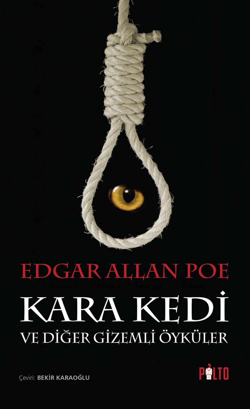 Kara Kedi ve Diğer Gizemli Öyküler kitap kapağı
