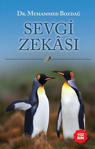 Sevgi Zekası kitap kapağı