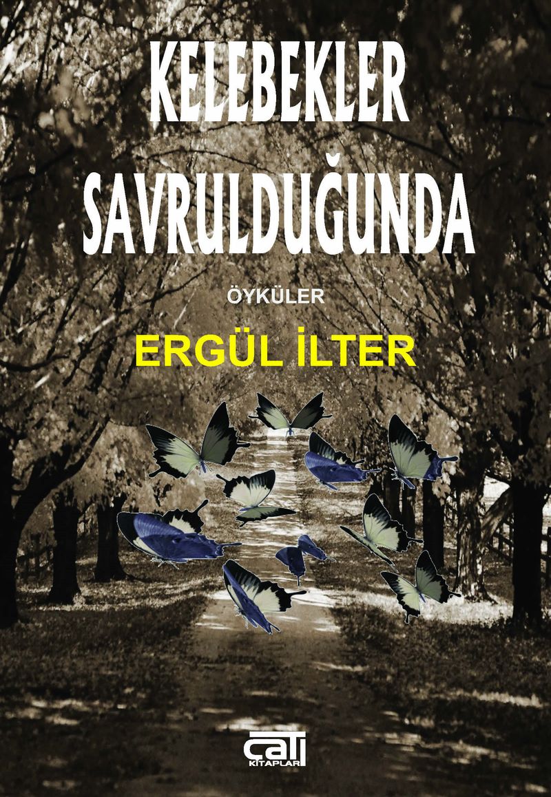 Kelebekler Savrulduğunda kitap kapağı