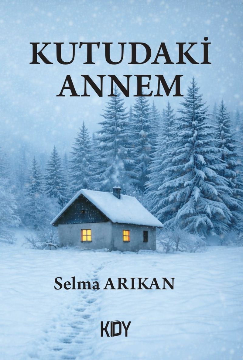 Kutudaki Annem kitap kapağı