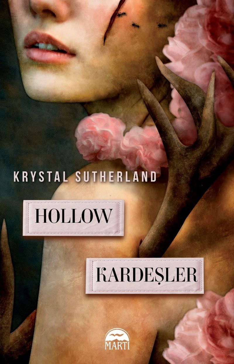 Hollow Kardeşler kitap kapağı
