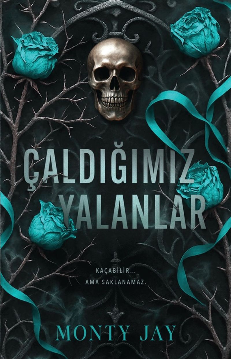 Çaldığımız Yalanlar kitap kapağı