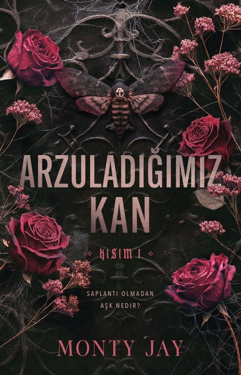 Arzuladığımız Kan Kısım I kitap kapağı