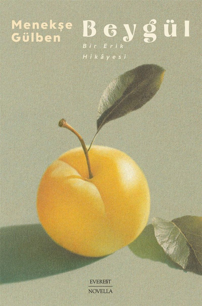 Beygül Bir Erik Hikayesi kitap kapağı