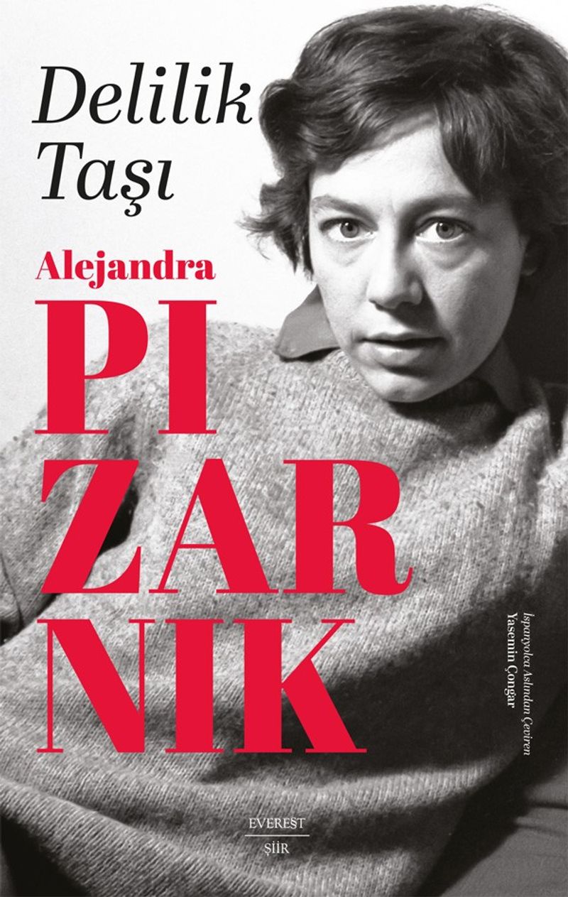 Delilik Taşı kitap kapağı