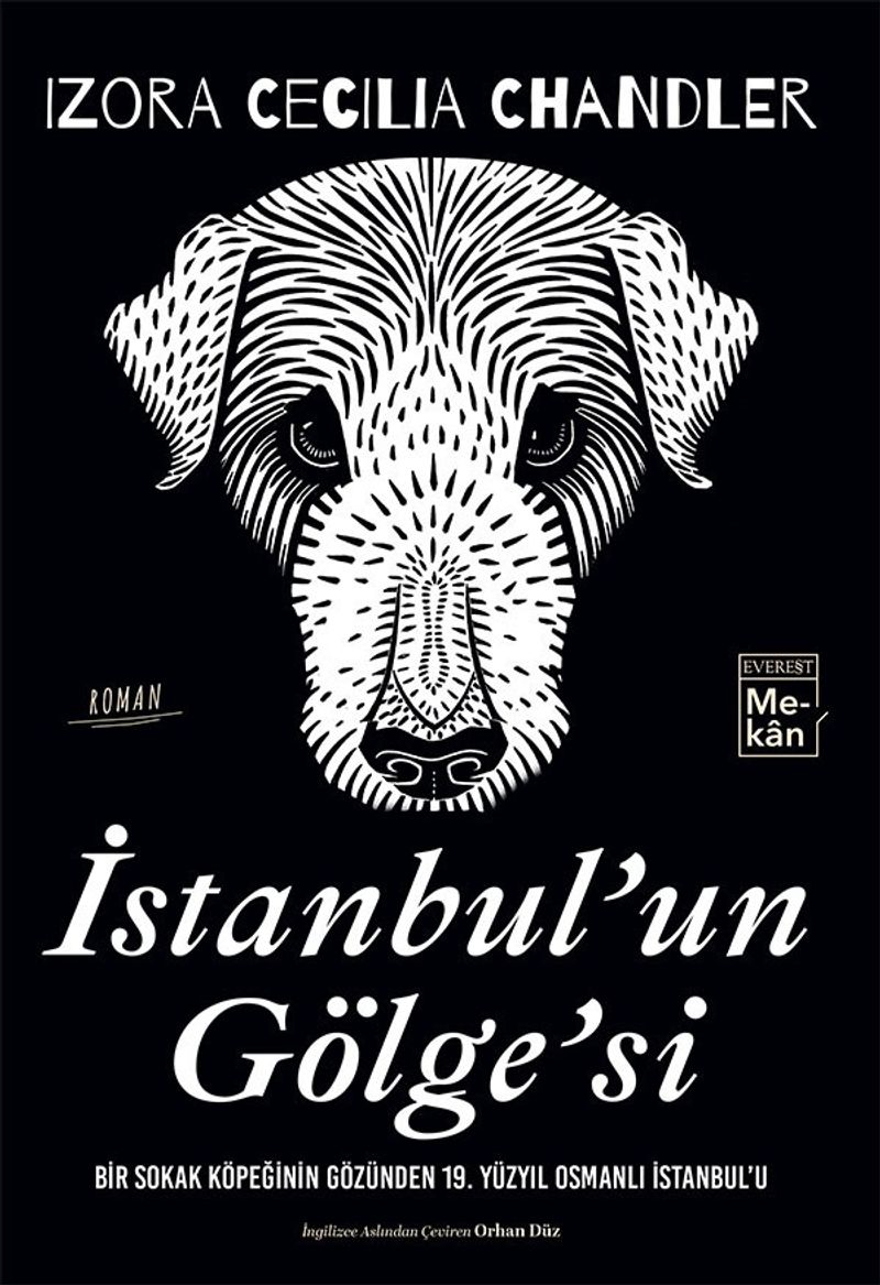 İstanbul'un Gölge'si Bir Sokak Köpeğinin Gözünden 19. Yüzyıl Osmanlı İstanbul'u kitap kapağı
