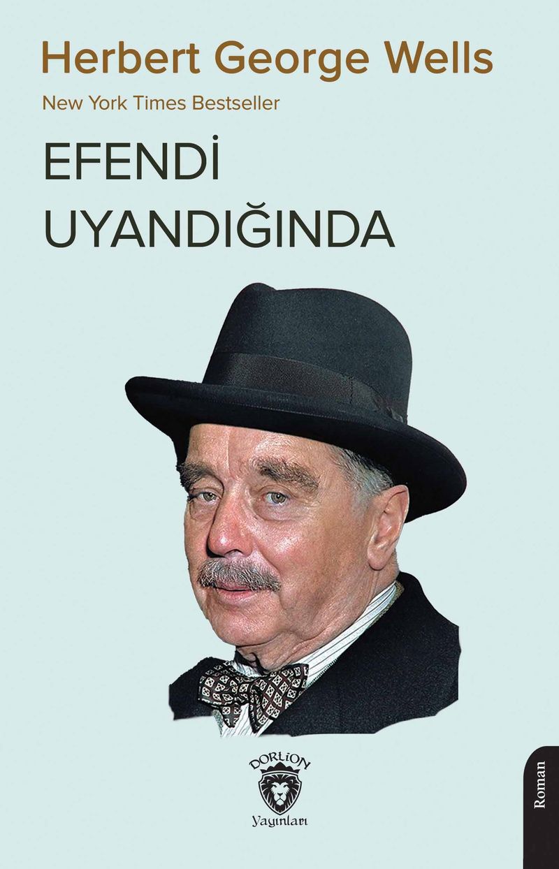 Efendi Uyandığında kitap kapağı