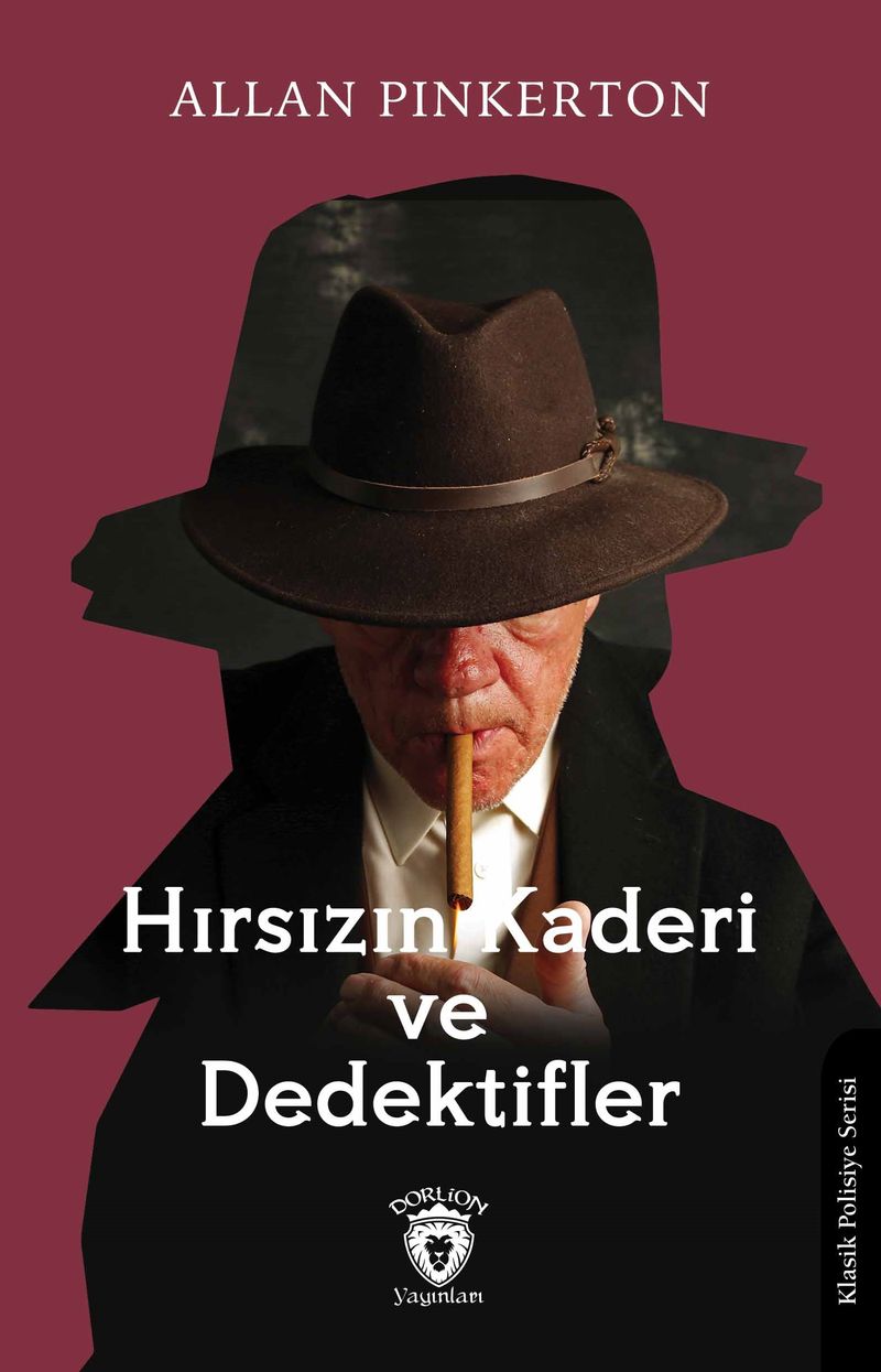 Hırsızın Kaderi ve Dedektifler kitap kapağı