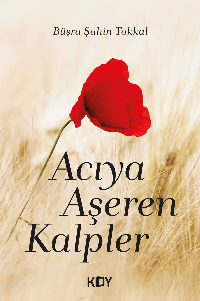 Acıya Aşeren Kalpler kitap kapağı