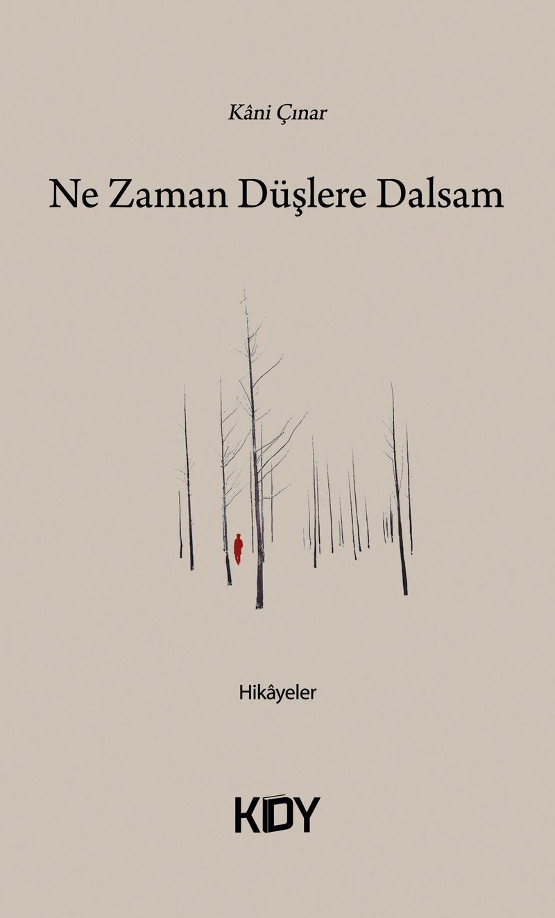 Ne Zaman Düşlere Dalsam kitap kapağı