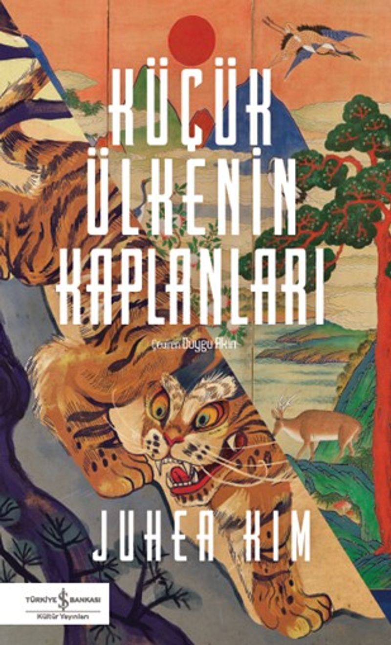Küçük Ülkenin Kaplanları kitap kapağı