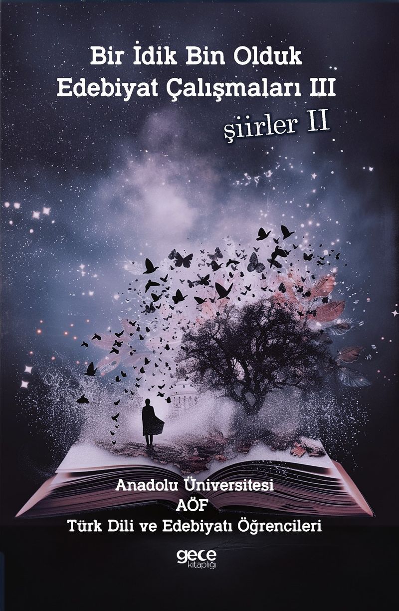 Bir İdik Bin Olduk Edebiyat Çalışmaları 3 Şiirler 2 kitap kapağı