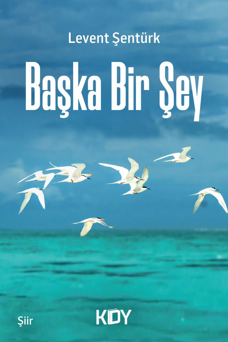 Başka Bir Şey kitap kapağı