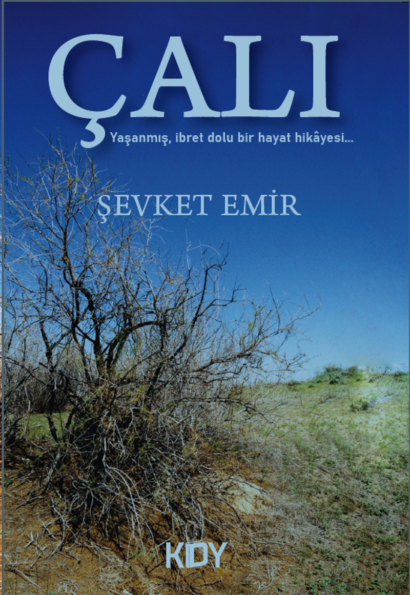 Çalı kitap kapağı