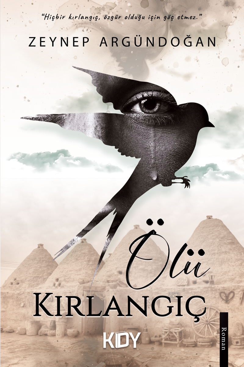 Ölü Kırlangıç kitap kapağı