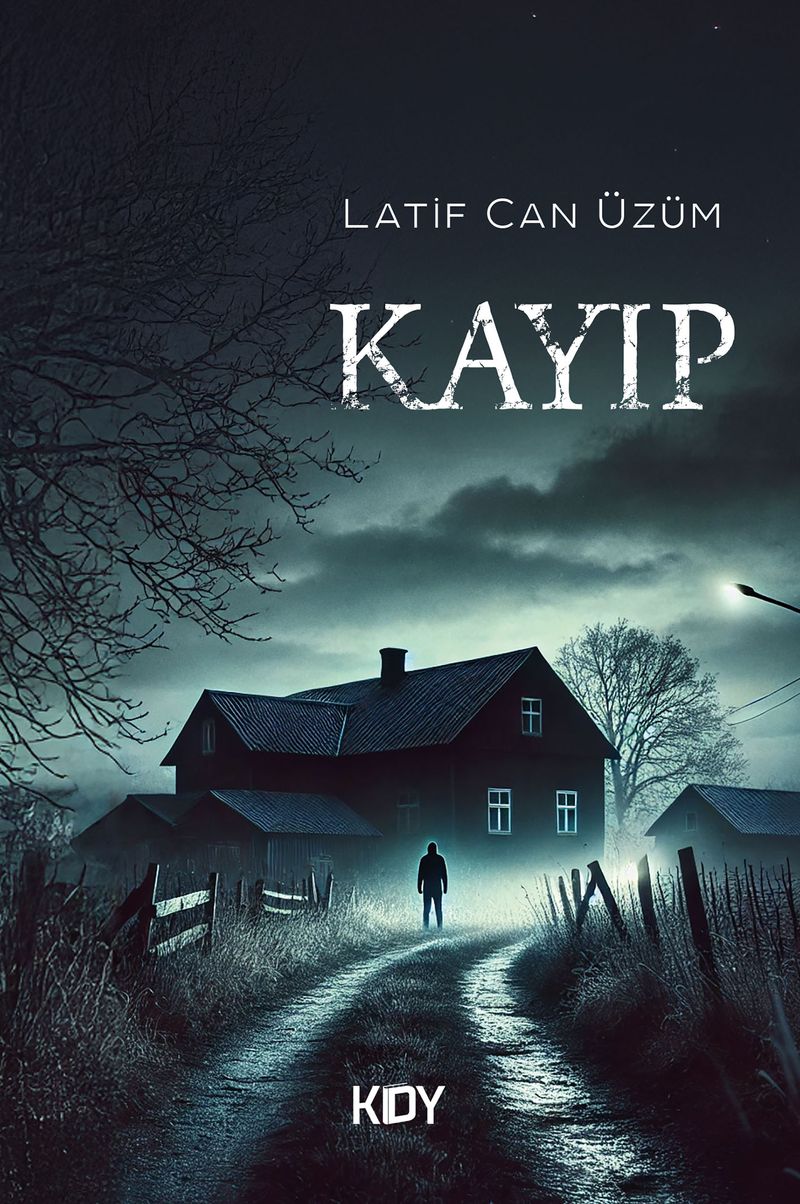 Kayıp kitap kapağı