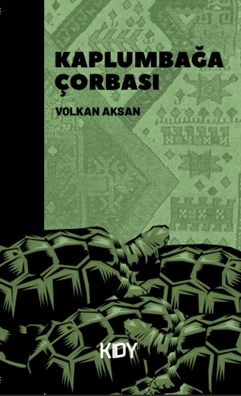 Kaplumbağa Çorbası kitap kapağı