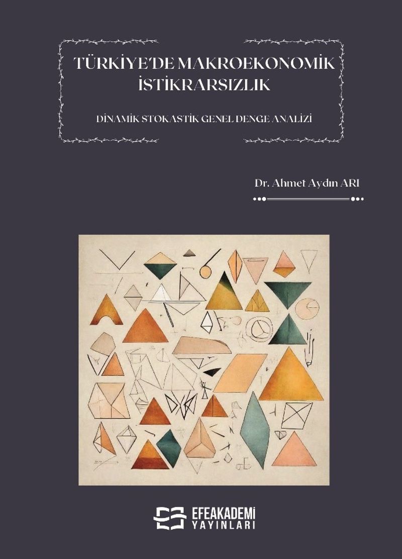 Türkiye'de Makroekonomik İstikrarsızlık Dinamik Stokastik Genel Denge Analizi kitap kapağı