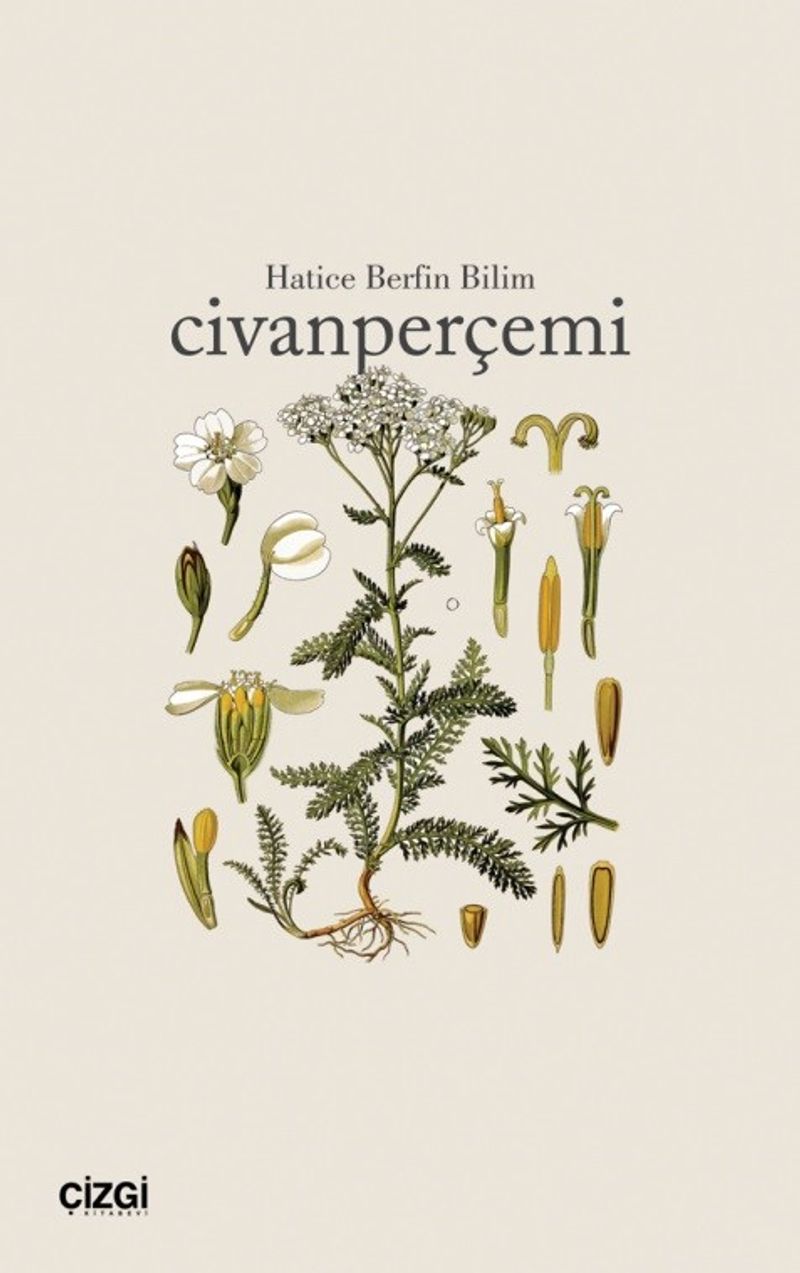 Civanperçemi kitap kapağı