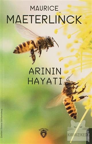 Arının Hayatı kitap kapağı