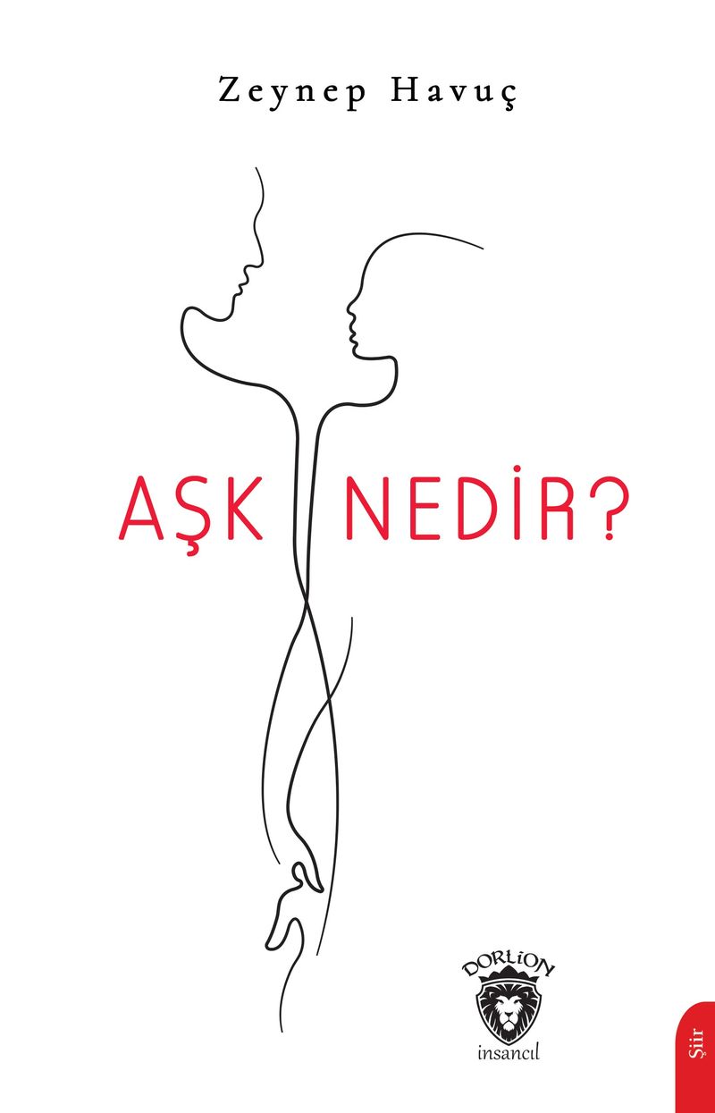 Aşk Nedir? kitap kapağı