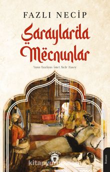 Saraylarda Mecnunlar kitap kapağı