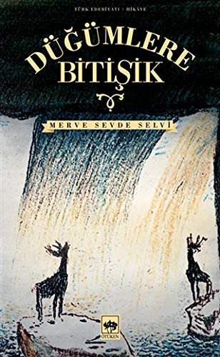 Düğümlere Bitişik kitap kapağı