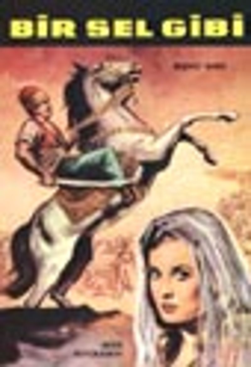 Bir Sel Gibi kitap kapağı