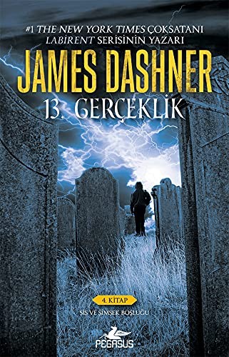 13. Gerçeklik (4. Kitap) Sis ve Şimşek Boşluğu kitap kapağı