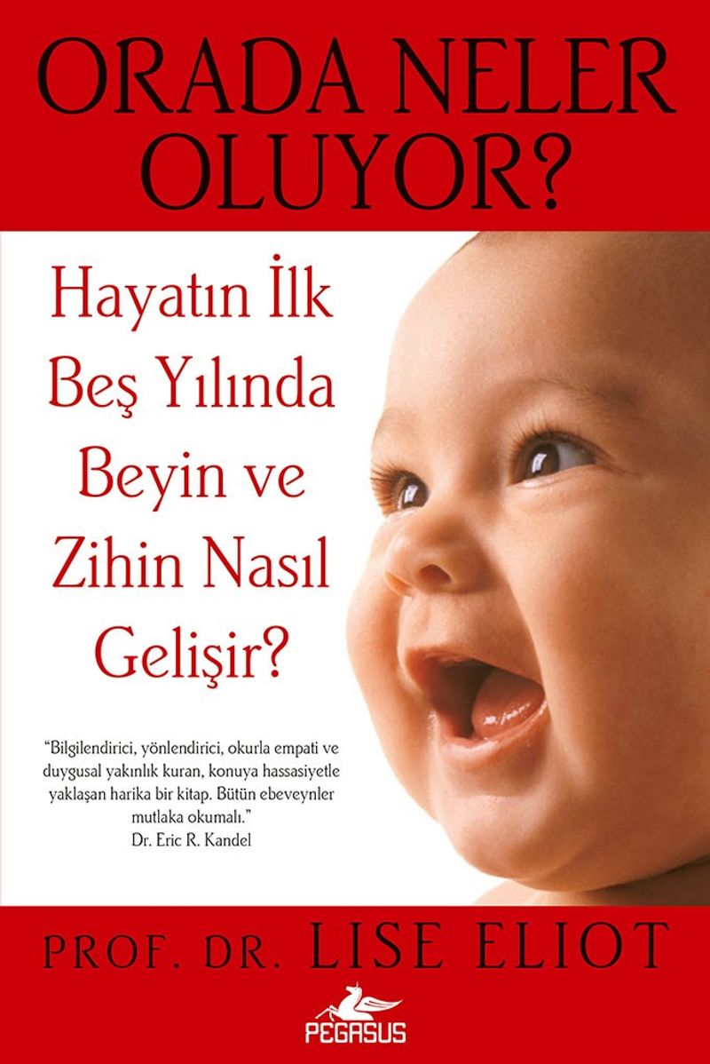 Orada Neler Oluyor? Hayatın İlk Beş Yılında Beyin ve Zihin Nasıl Gelişir? kitap kapağı
