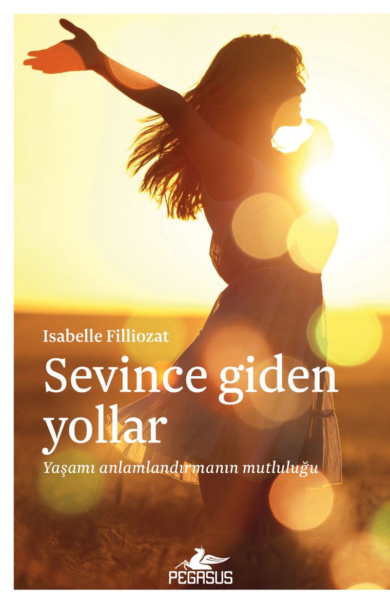 Sevince Giden Yollar kitap kapağı