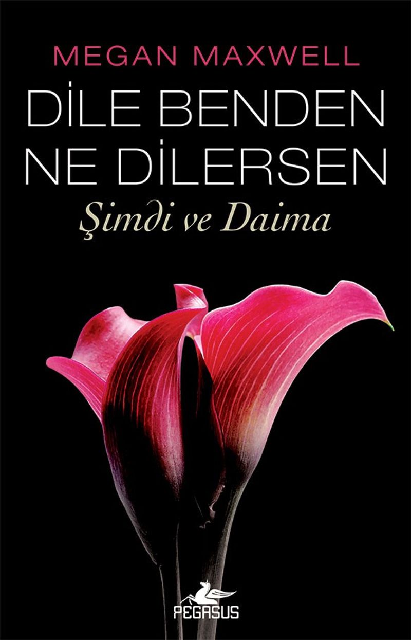 Dile Benden Ne Dilersen: Şimdi ve Daima (Dile Benden Ne Dilersen Serisi 2) kitap kapağı