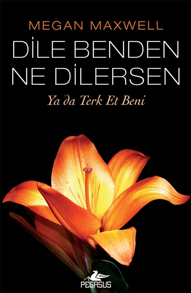 Dile Benden Ne Dilersen: Ya da Terk Et Beni (Dile Benden Ne Dilersen Serisi 3) kitap kapağı