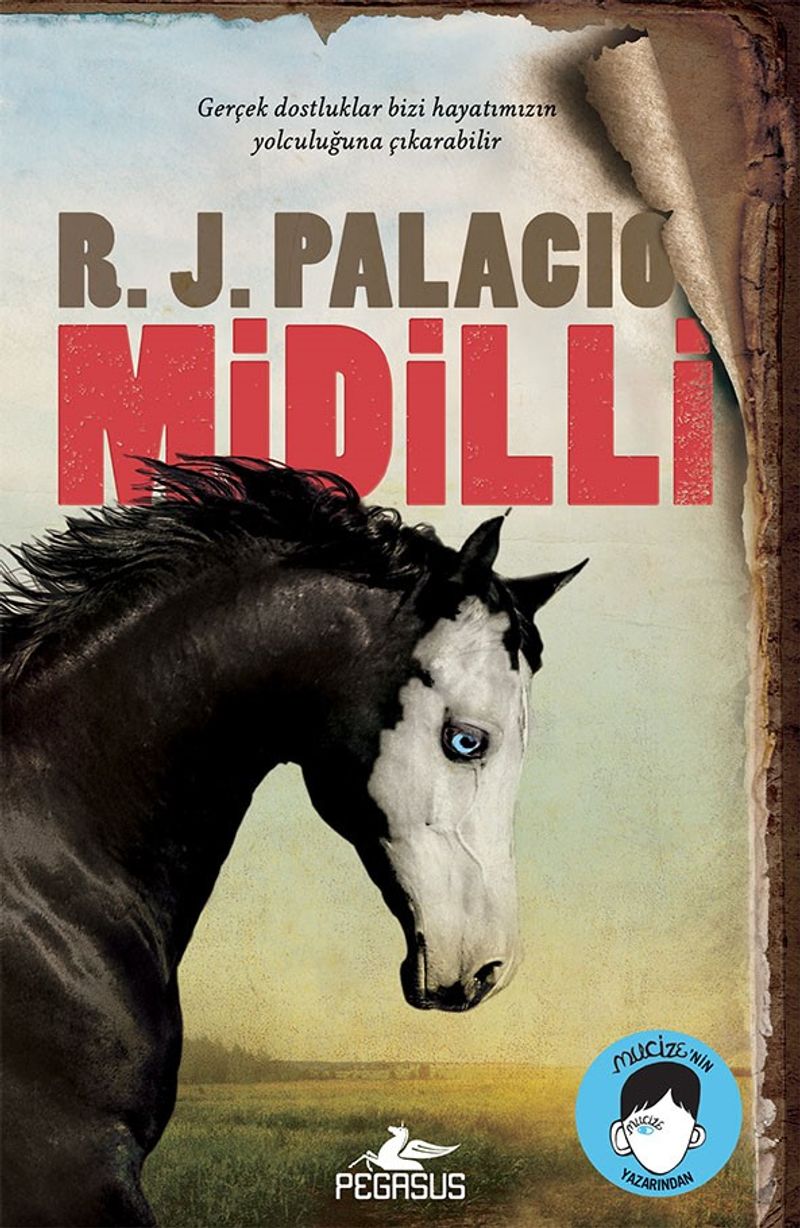 Midilli (Karton Kapak) kitap kapağı